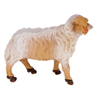 Schaf stehend rechts für 15-18 cm Fig.