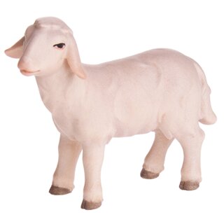Schaf stehend vorwärts schauend; col.12cm