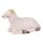 Münsterlandkrippe Schaf liegend vorwärts schauend 15cm Serie
